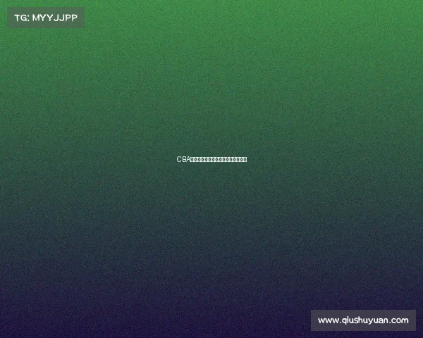 CBA训练强度分析与球员适应性研究探讨