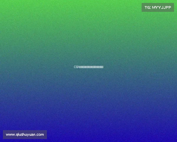 CBA训练强度分析与球员适应性研究探讨