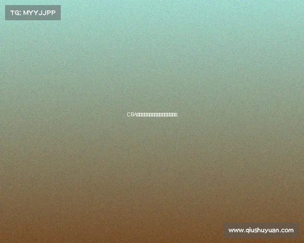 CBA训练强度分析与球员适应性研究探讨